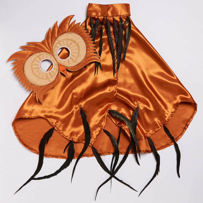 Luxury Owl Fancy Dress Costume - Product Image - Slimy Toad