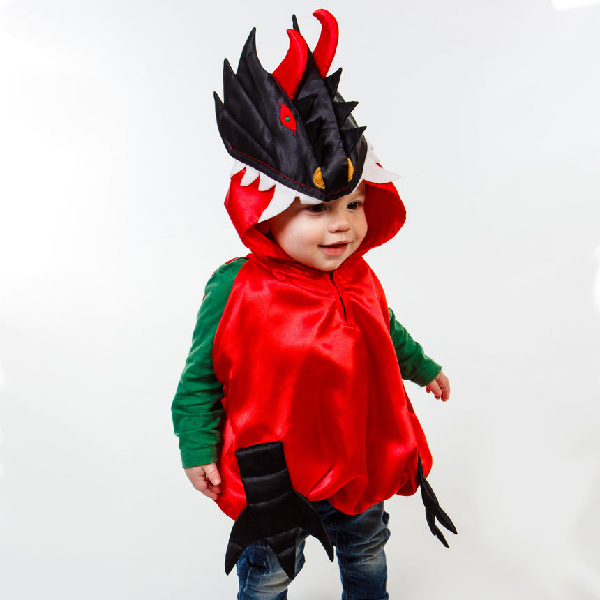 Toddler Dragon Fancy Dress Costume