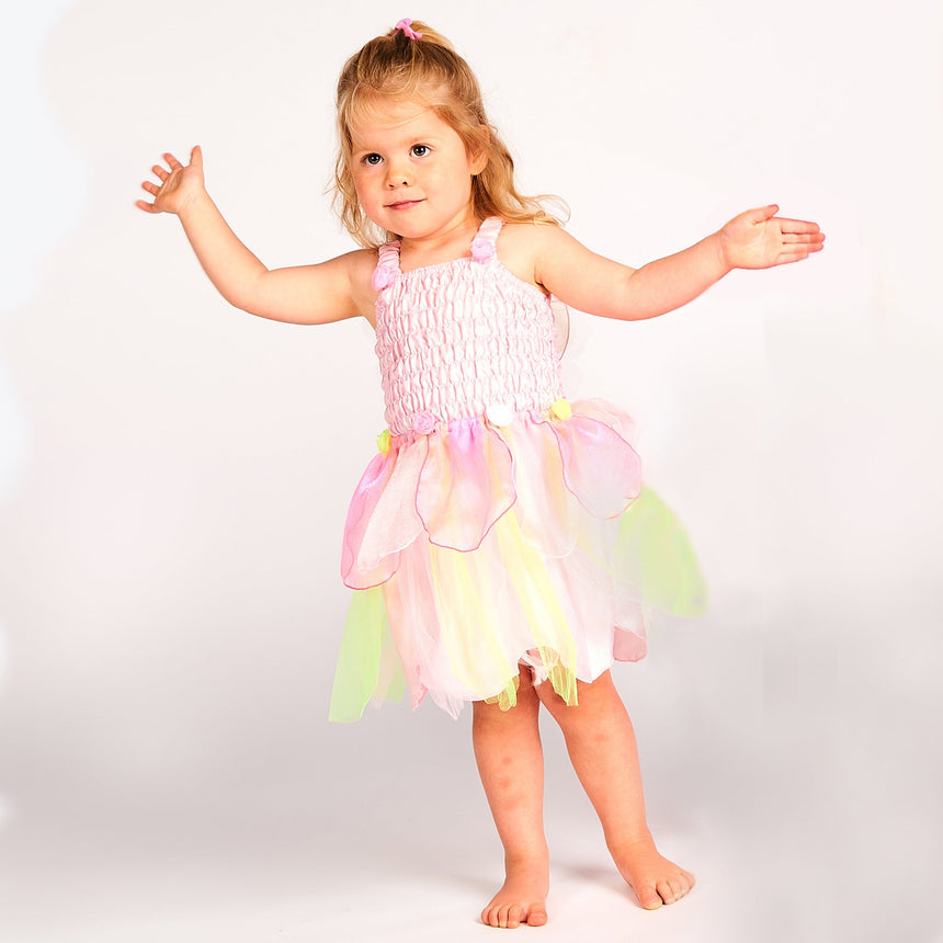 Lucy Locket - Toddler Apple Blossom Fairy Fancy Dress Costume - Front