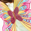 Lucy Locket - Carnival Fairy Wings - Up Close Butterfly Centre